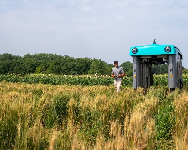 A teal robotic rover passes over thigh-height wheat rows while a grad student wearing gray and white walks beside it with a tablet, directing its movement.